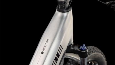Cube Reaction Hybrid ONE 800 silver'n'black Gr&ouml;&szlig;e: Easy Entry L Produktbild 1