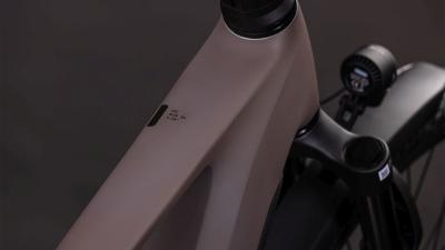 Cube Kathmandu Hybrid EXC 800 cedar'n'chrome Gr&ouml;&szlig;e: 62 cm Produktbild 1