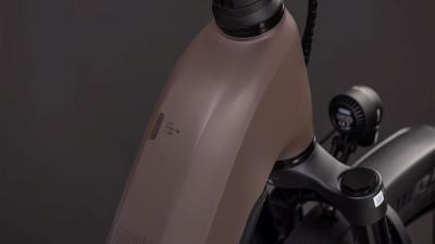 Cube Kathmandu Hybrid EXC 800 cedar'n'chrome Gr&ouml;&szlig;e: Easy Entry 50 cm Produktbild 1